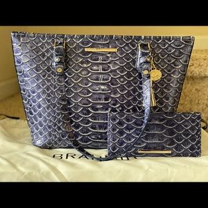 Brahmin medium Asher